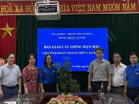 Hưởng ứng Chương trình “ Trồng 1 tỷ cây xanh - vì một Việt Nam xanh”